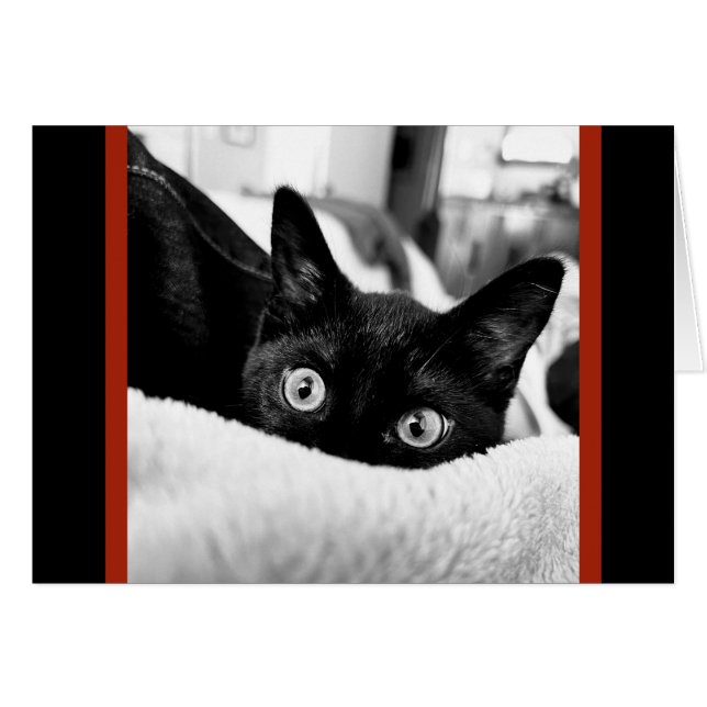 Big Eyed Kattunge, Blank Note-kort Hälsningskort (Framsidan Horizontal)