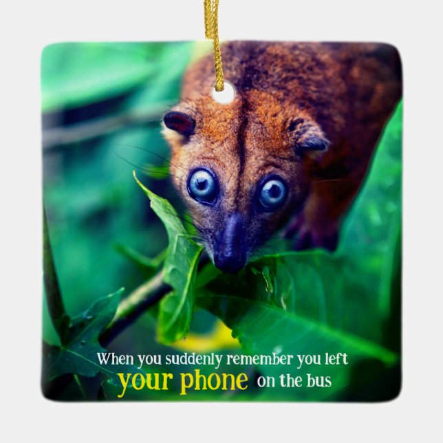 Big Eyed Possum Julgransprydnad Keramik (Framsida)