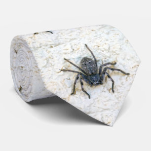 Big Female Huntsman Spider, Neck Tie Slips