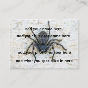 Big Female Huntsman Spider Visitkort