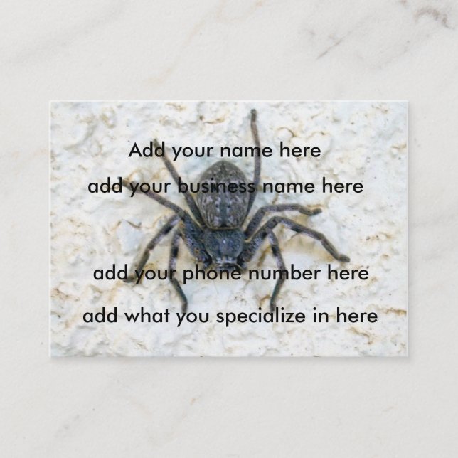 Big Female Huntsman Spider Visitkort (Framsida)