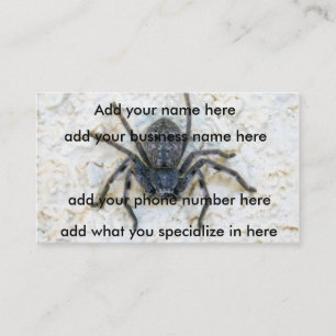Big Female Huntsman Spider Visitkort