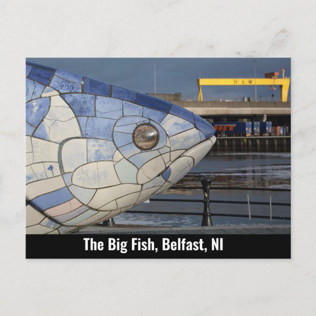 Big Fish, Belfast, Northern Ireland, UK Helg Vykort (Framsida)