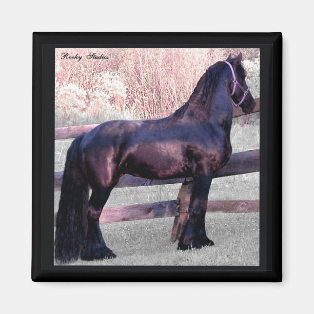 Big Friesian Horse Magnet (Framsidan)