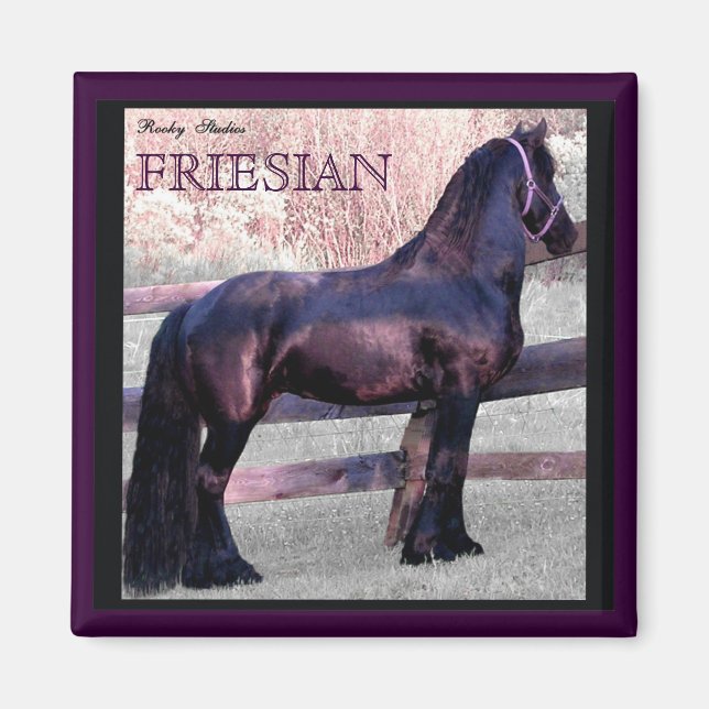 Big Friesian Horse Magnet 2 (Framsidan)