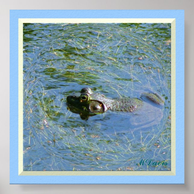 Big Frog Huge Poster (Framsidan)