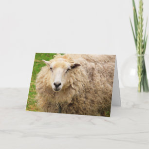 Big Fuzzy Wooly Sheep Birthday Kort