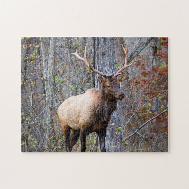 Big Game Hunter - Bull Elk - 11 x 14 tum Pussel (Horisontell)