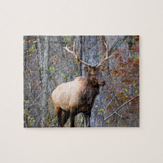 Big Game Hunter - Elk Season - 8x10 inch Pussel