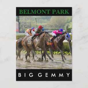 Big Gemmy - Jose Lezcano NY Bred Vykort