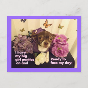 Big girl Panties Chihuahua Card Vykort