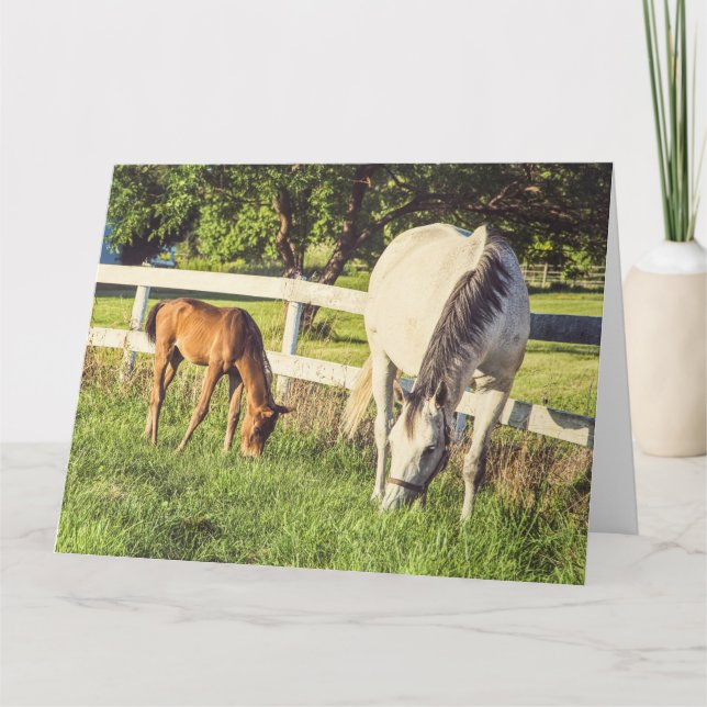 Big Greeting Card för mäs- och fosterhästar Kort (Framsida)