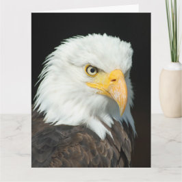 Big Greeting Card - Nature Bird Eagle Kort