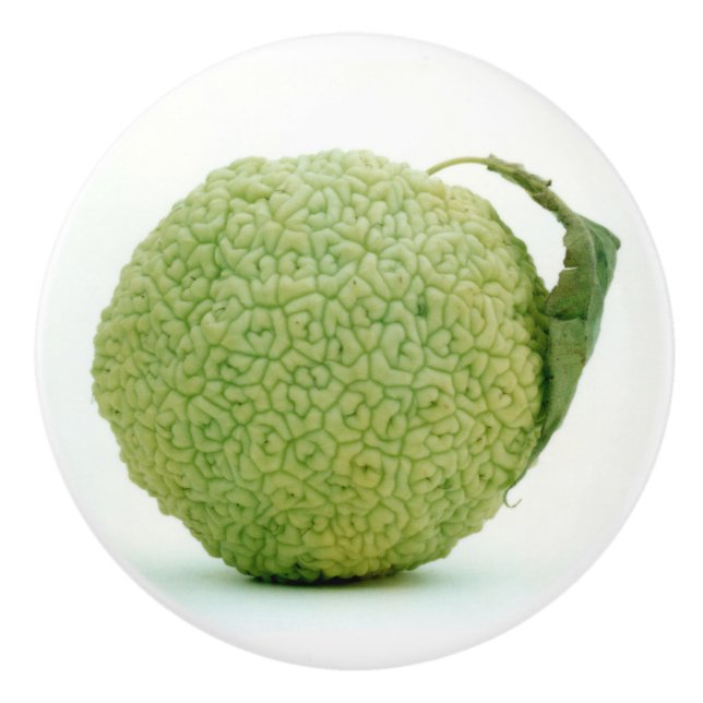 Big Grönt Hedgeapple Knopp (Framsidan)