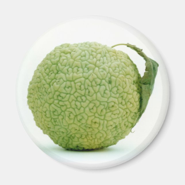 Big Grönt Hedgeapple Magnet (Framsidan)