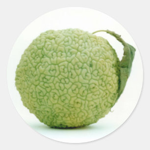 Big Grönt Hedgeapple Runt Klistermärke