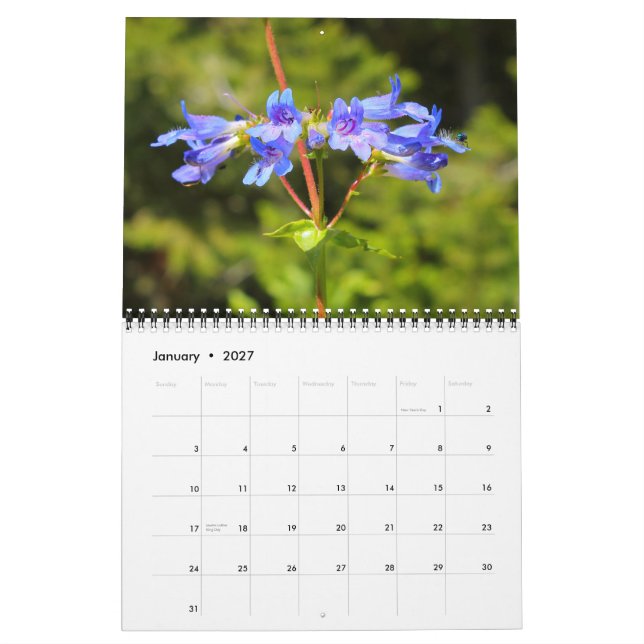 Big Himlar Land Wildblommor 2012 Kalender (Jan 2027)