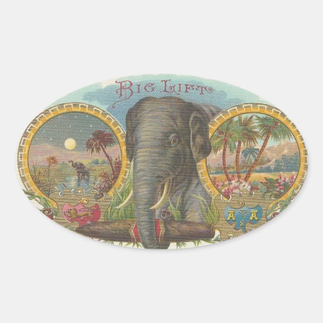 Big Hiss Ovalt Klistermärke (Framsida)