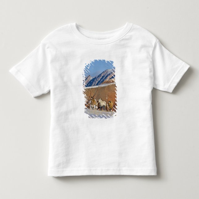 Big Horn-bergen, hästar springande Tee Shirt (Framsida)