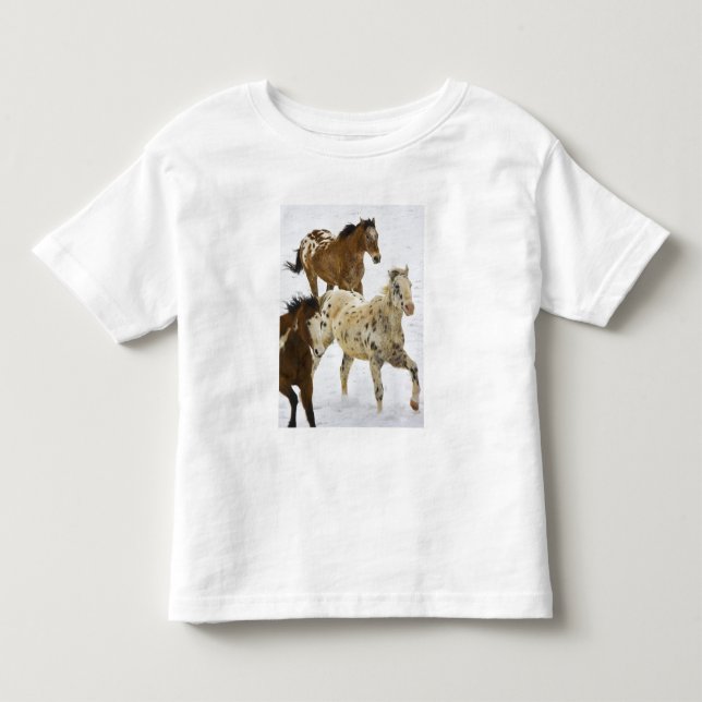 Big Horn-bergen, Hästar springer i snön Tee (Framsida)