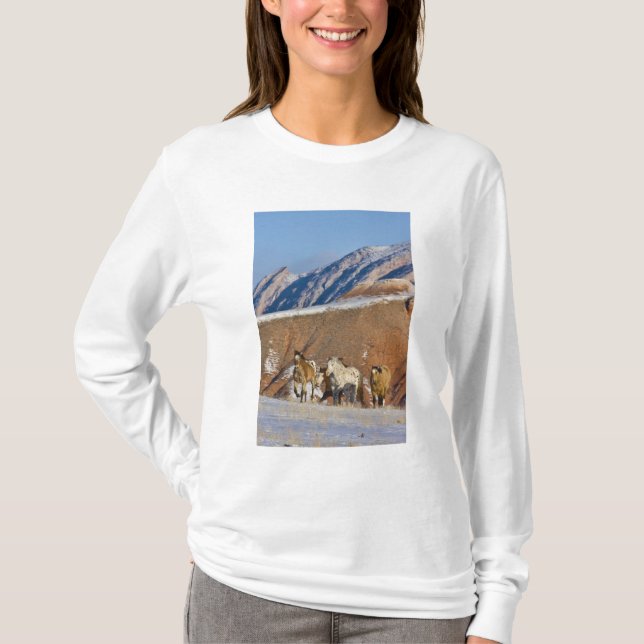 Big Horn-bergen, hästar springer Tee Shirt (Framsida)