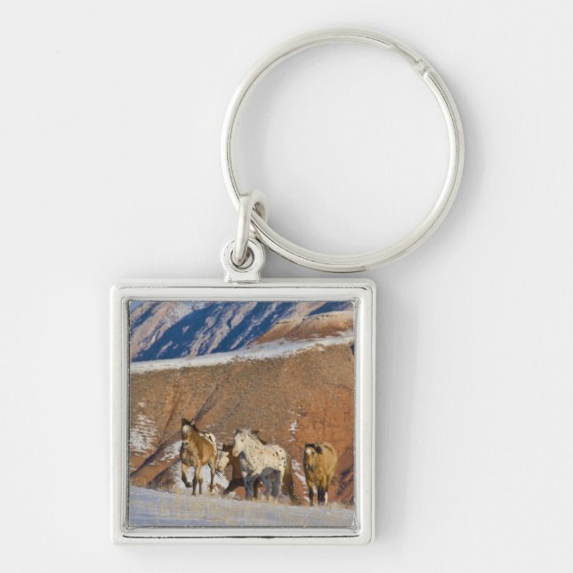 Big Horn Mountains, hästar löper Fyrkantig Silverfärgad Nyckelring (Framsidan)