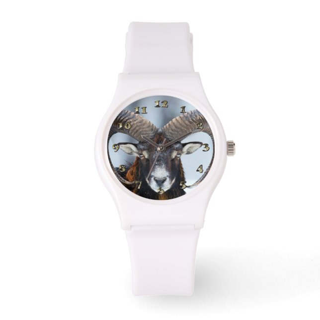 Big Horn Ram Sheep - Mouflon Armbandsur (Framsida)
