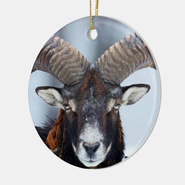 Big Horn Ram Sheep - Mouflon Julgransprydnad Keramik (Vänster)