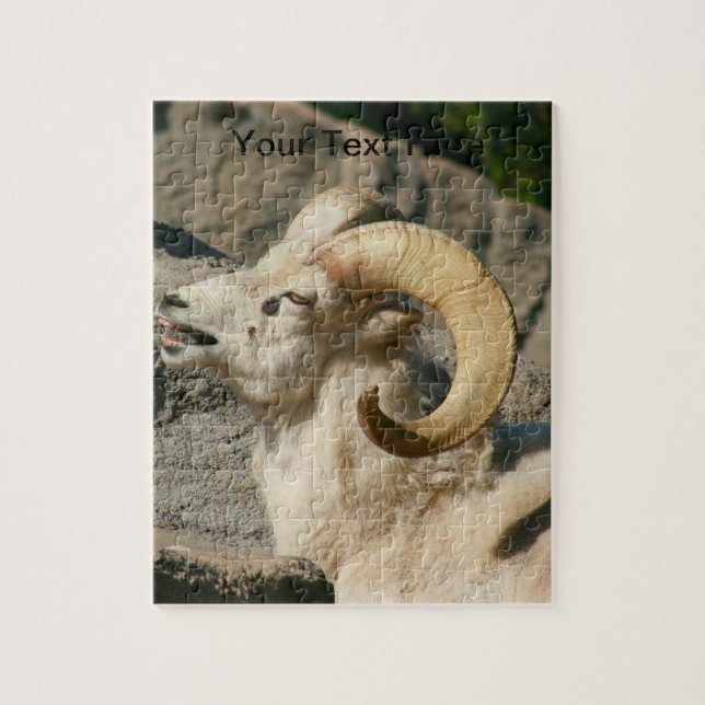 Big Horn Sheep Laughing Pussel (Vertikal)