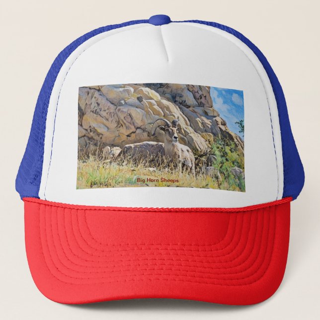 Big Horn Sheeps Keps (Framsida)