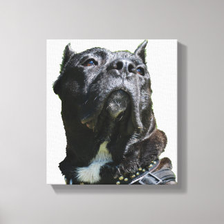 Big Hund Canvas