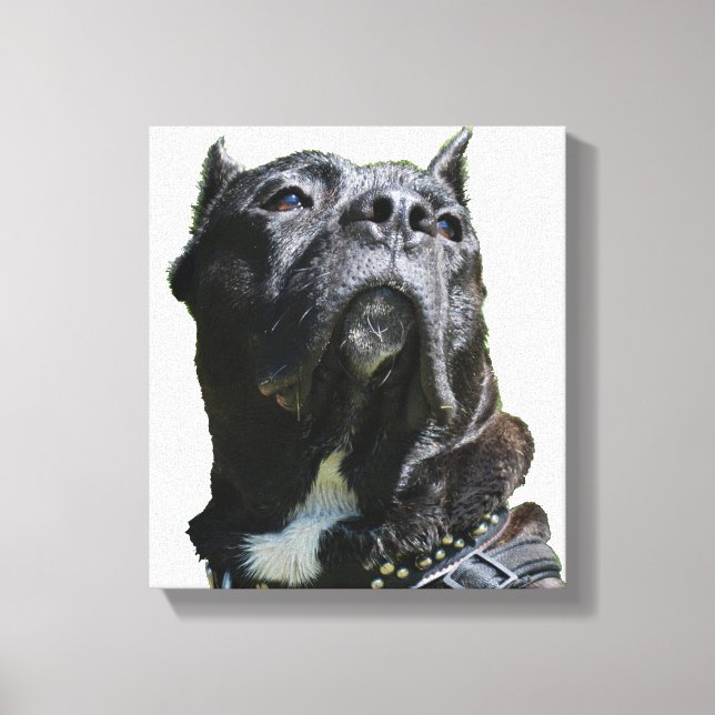 Big Hund Canvas (Framsida)