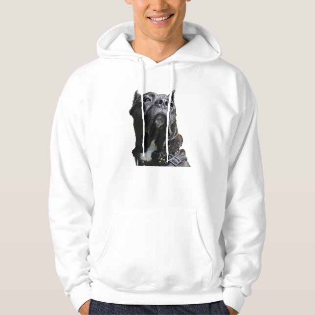 Big Hund Hoodie (Framsida)