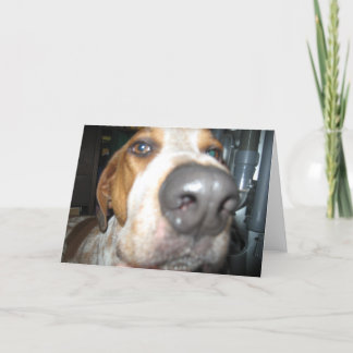 Big Hund Nose Notecard Kort