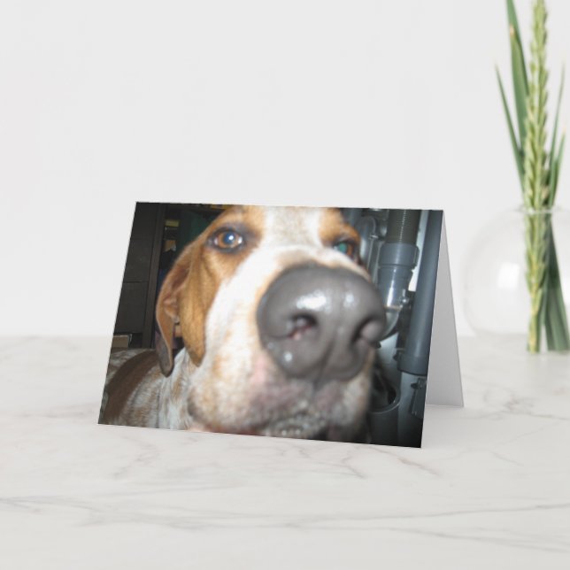 Big Hund Nose Notecard Kort (Framsida)