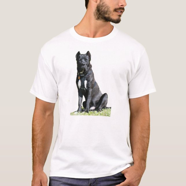 Big Hund Sitta T-Shirt (Framsida)