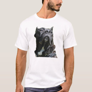 Big Hund tröja