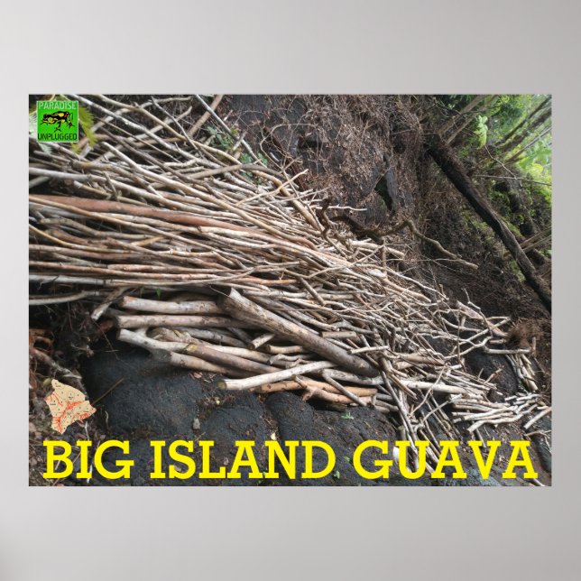 BIG ISLAND GUAVA POSTER (Framsidan)