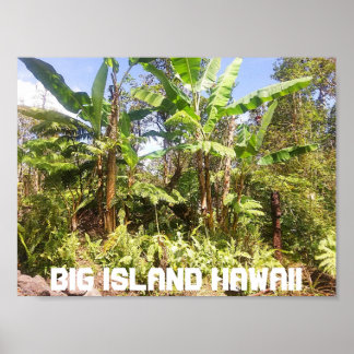 BIG ISLAND HAWAII BANANA TRÄD POSTER