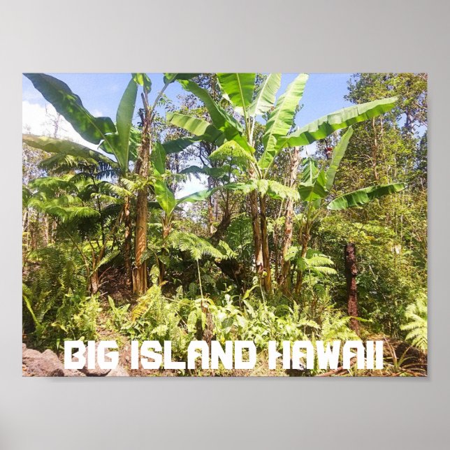 BIG ISLAND HAWAII BANANA TRÄD POSTER (Framsidan)