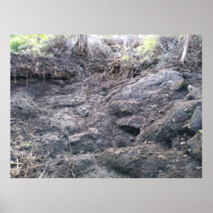 BIG ISLAND LAVA STEN POSTER