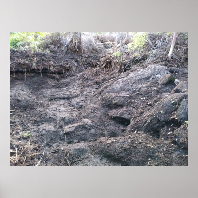 BIG ISLAND LAVA STEN POSTER (Framsidan)