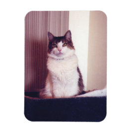 Big Kattunge Magnet