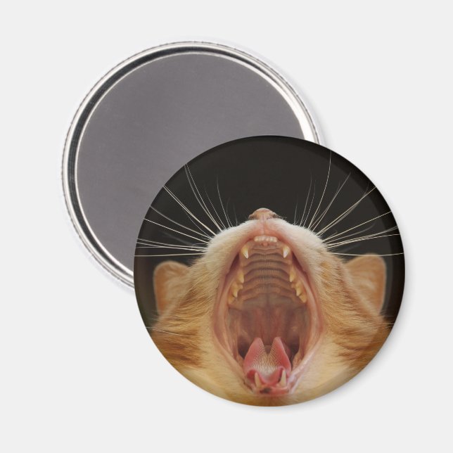 Big Kattunge Yawn, Sömnig Kattunge Magnet (Front/Back)