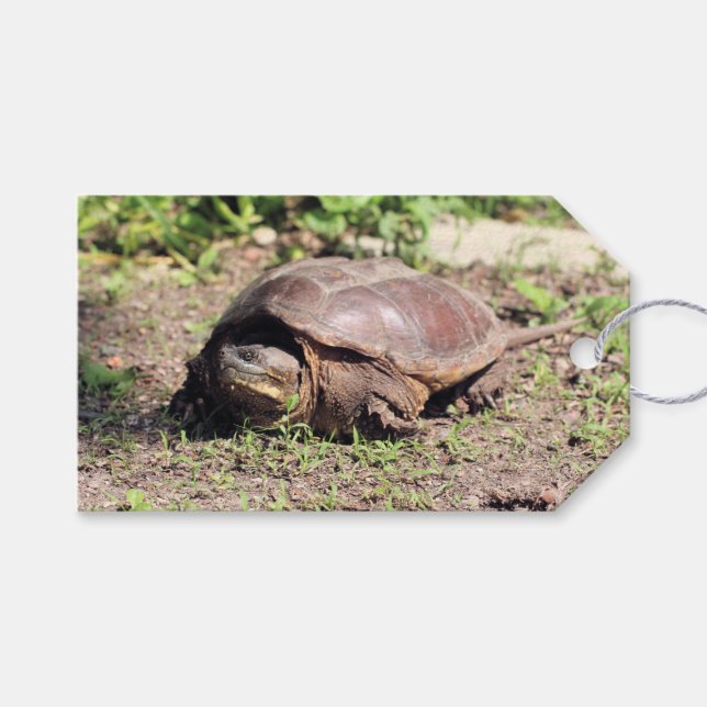 Big-kille Presentetikett (Framsidan (Horisontell))