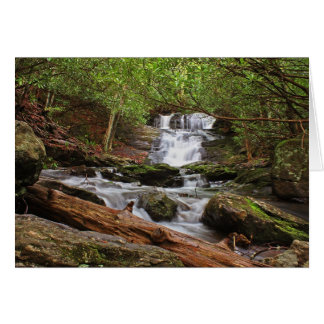 Big Laurel Falls Hälsningskort