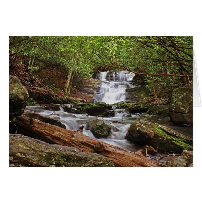 Big Laurel Falls Hälsningskort (Framsidan Horizontal)