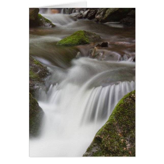 Big Laurel Gren OBS Kort (Framsidan)