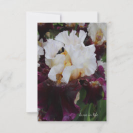 Big Lila & White Iris Anteckningskort