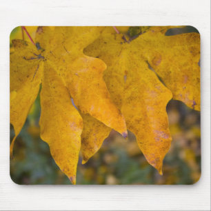 Big Löv Maple Mousepad Musmatta